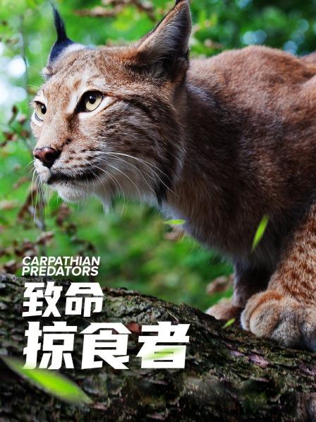 熊的国度