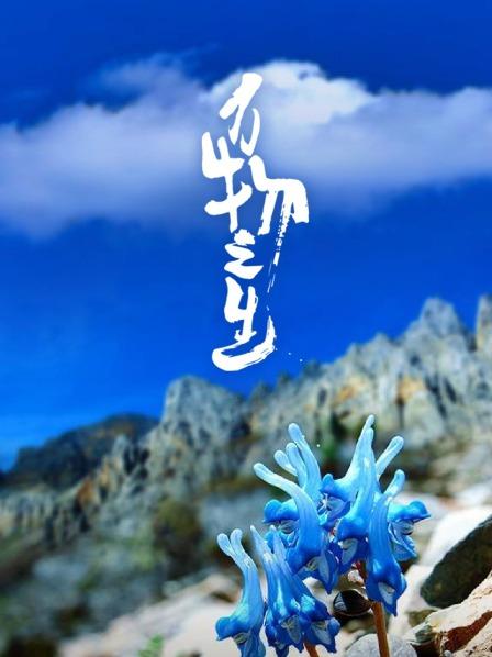 多样