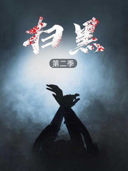 涉黑团伙覆灭记
