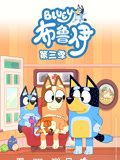 布鲁伊  第3季