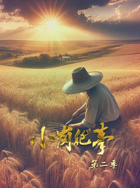 小岗纪事 第二季