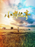 小岗纪事 第一季