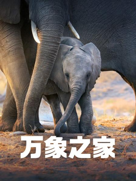 万象之家