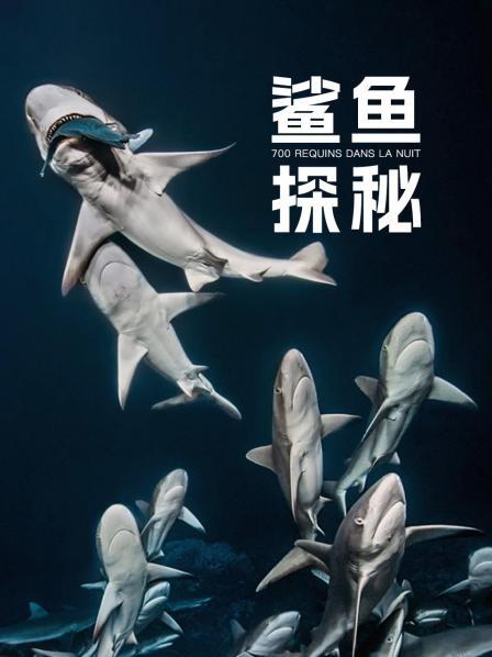 鲨鱼探秘 上