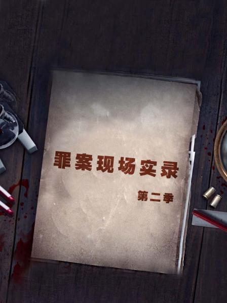 疯狂的窃贼