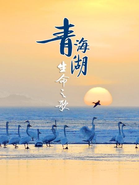 青海湖：唱响生命的赞歌