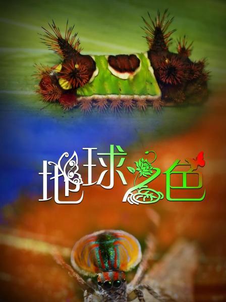 地球之色