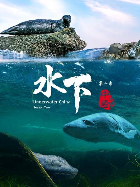 一起领略生物多样性丰富的水下中国，你准备好了吗？