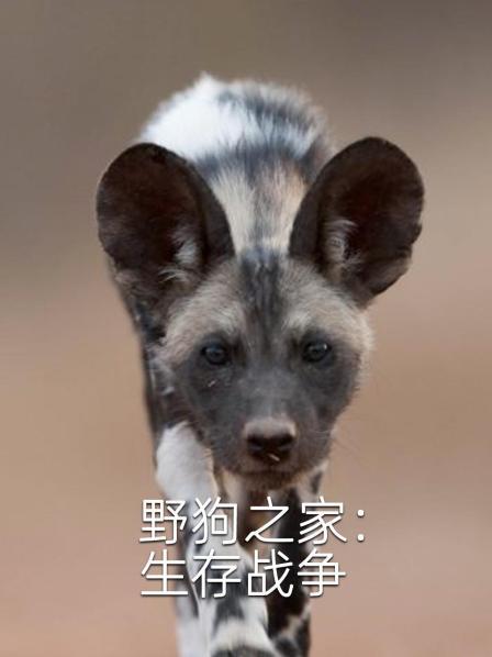 野狗之家：生存战争
