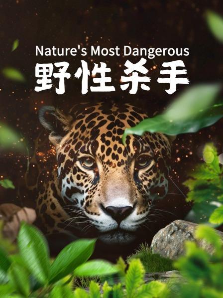 野性杀手