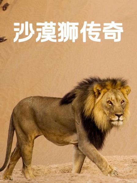 沙漠狮传奇