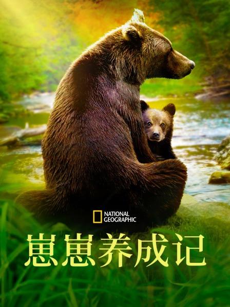 黑猩猩宝宝的故事