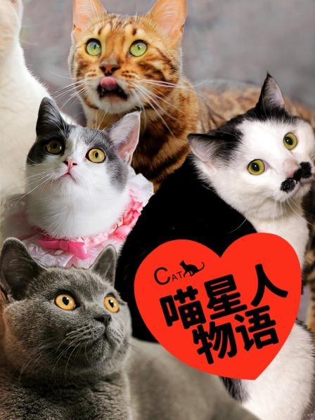国内首部宠物猫纪录片《喵星人物语》
