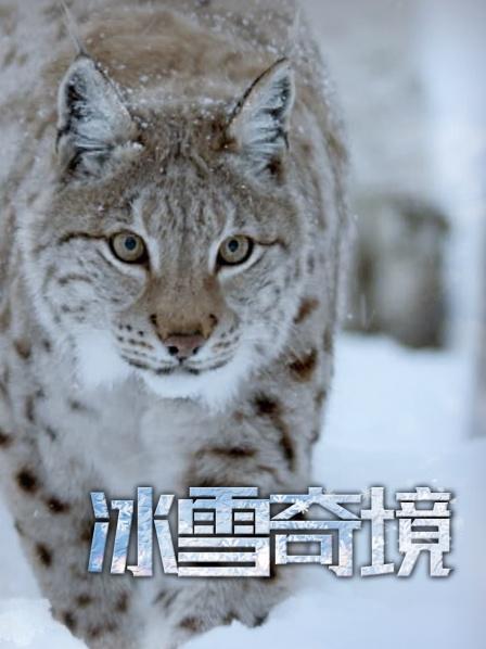 冰雪奇境