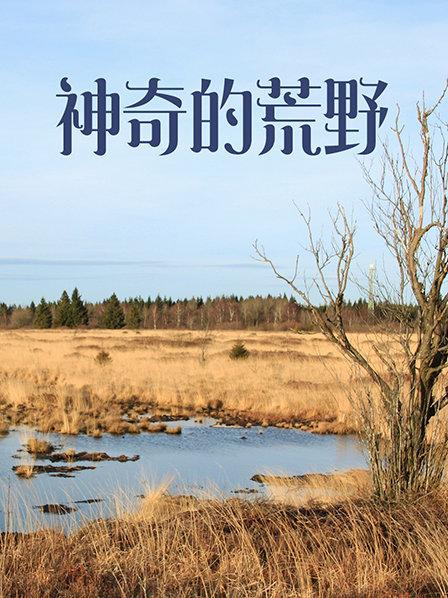 欧洲大陆上令人毛骨悚然的沼泽和湿地