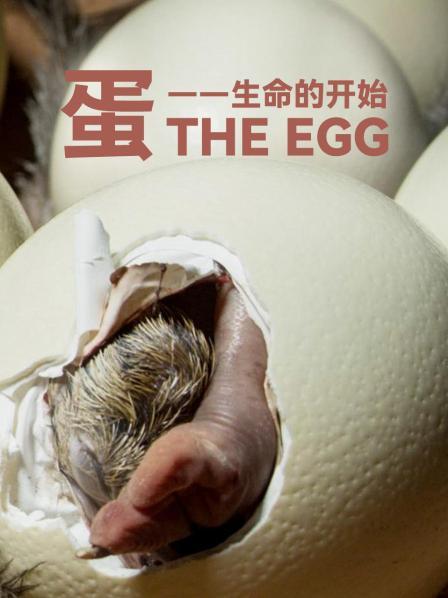 蛋：生命的开始（一）
