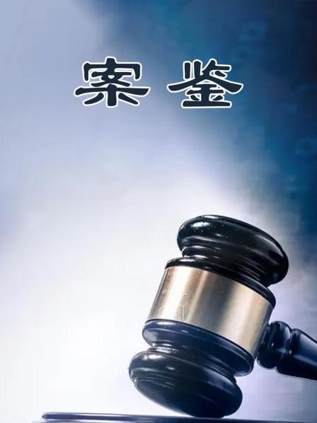 是黑恶犯罪的一个不放过！