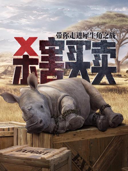 凤毛麟角：偷猎猖獗犀牛濒临灭绝