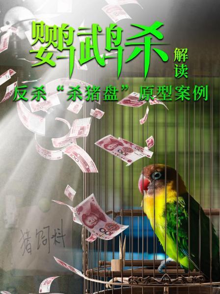 周冬雨精心设局复仇，反杀“杀猪盘”