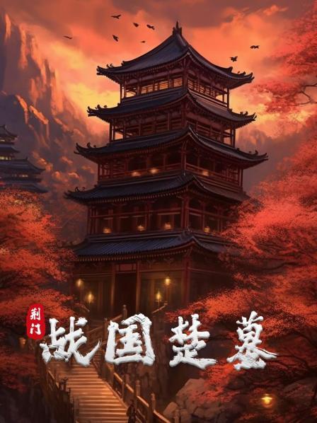 荆门战国楚墓 上集