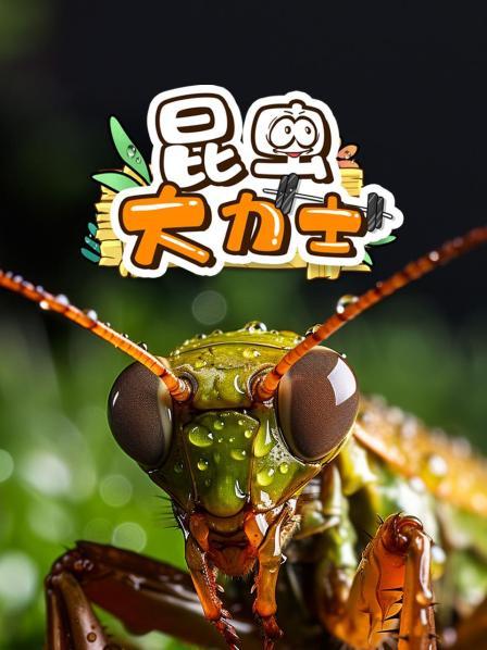 昆虫大力士争霸赛，带孩子探秘昆虫的世界 预告片
