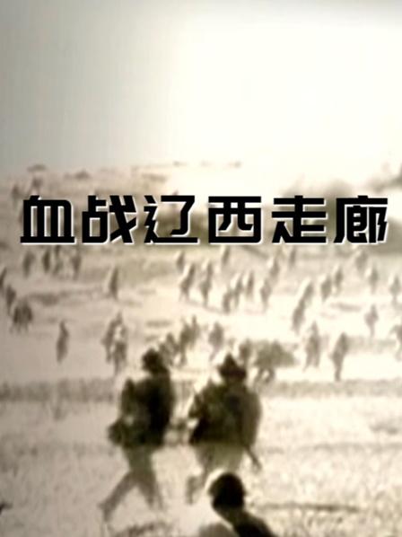 血战辽西走廊