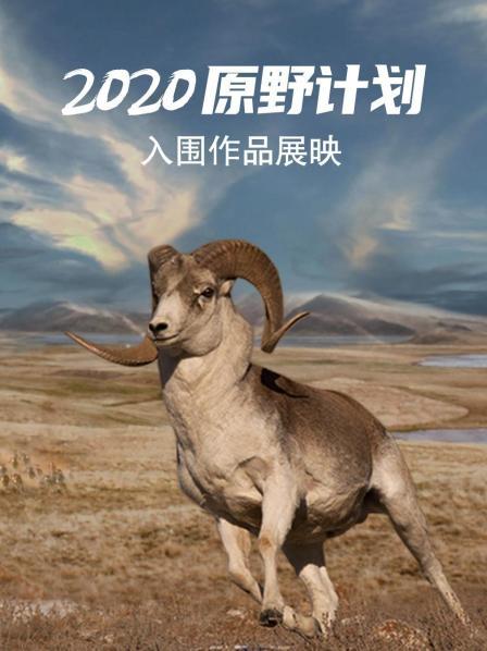 中国大鸨——王钊作品