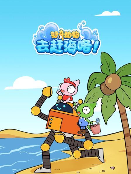 发现海边的萌趣小动物