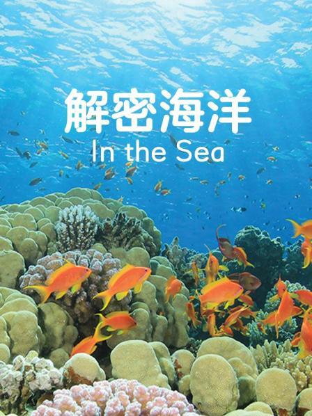 解密海洋