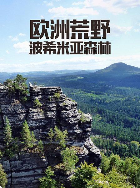 想在荒野生存团结是基本要素 尽管压力重重也要寻求方式更好的去生活