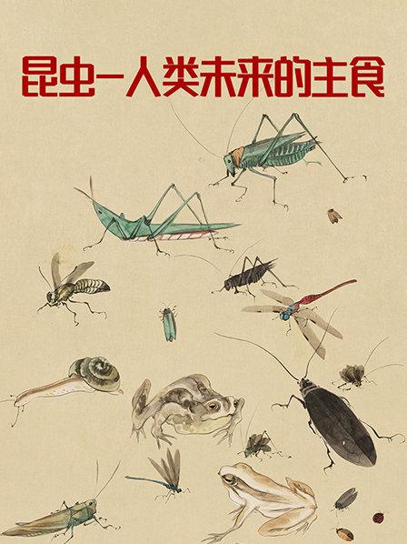 昆虫会成为未来的粮食吗？它们会是未来营养平衡的关键吗？