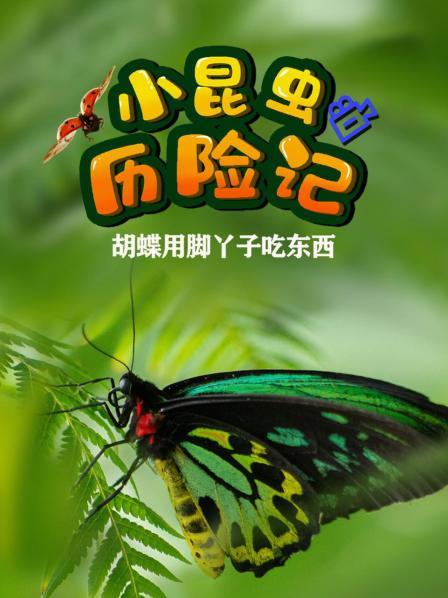 擅长伪装的螳螂