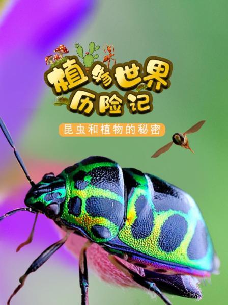 探索植物和昆虫的秘密