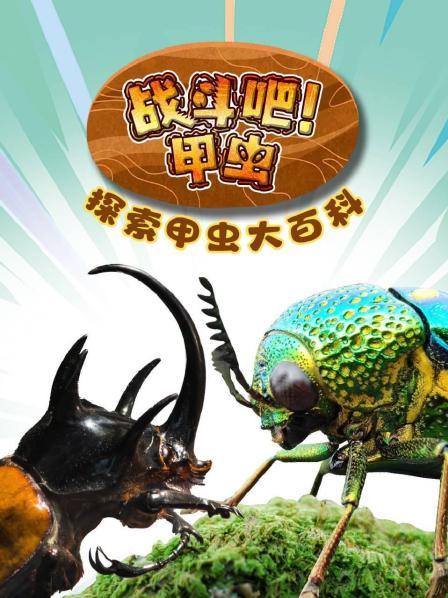 先导片：出发！探索甲虫之旅