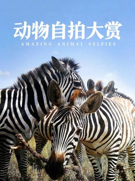 动物自拍大赏