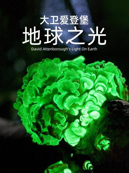 大卫爱登堡：地球之光