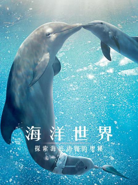 走进蔚蓝大海，探索神奇的海洋动物！