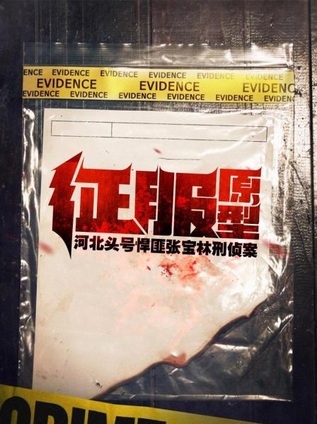 《征服》刘华强原型：石家庄张宝林涉黑案