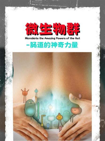 微生物群-肠道的神奇力量