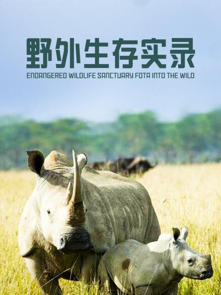 濒临灭绝的野生动物