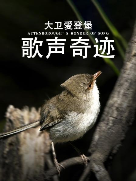 大卫爱登堡：歌声奇迹