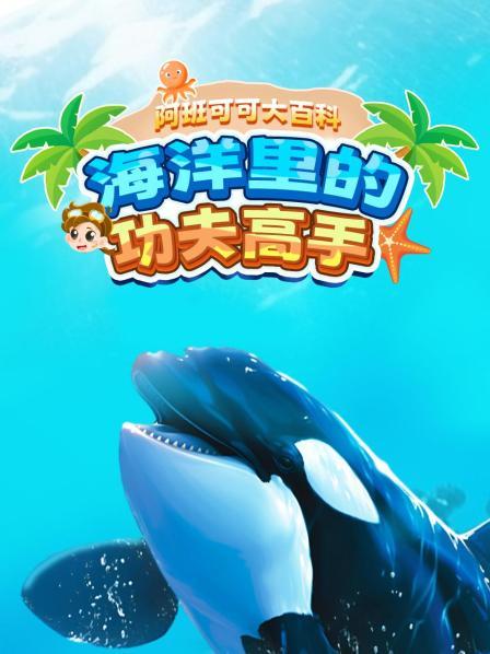 一起探寻神秘的海洋世界