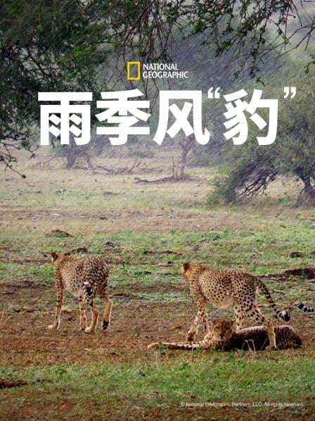 博茨瓦纳的雨季