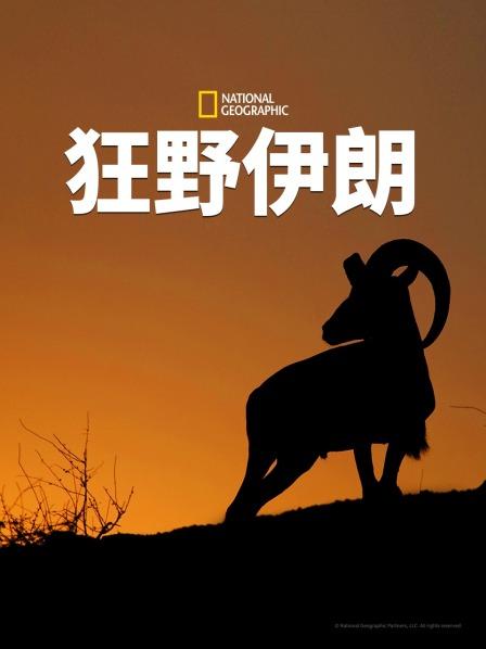 多姿多彩的伊朗