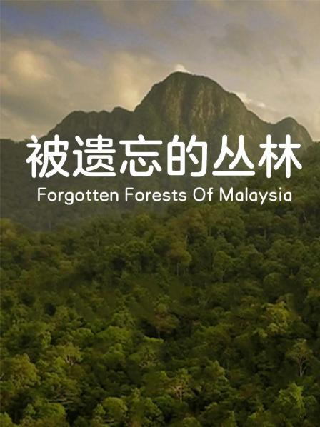 被遗忘的丛林