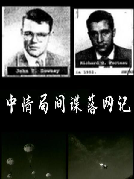 中情局间谍落网记