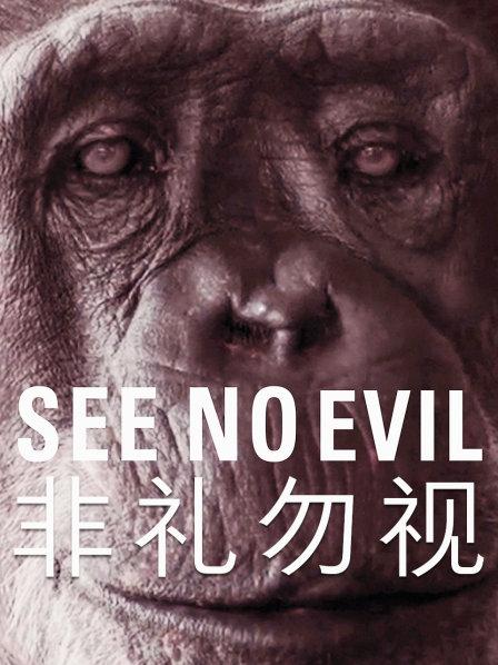 纪念为人类研究做出贡献的灵长类动物