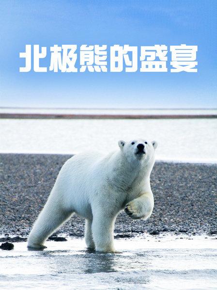 北极熊啃食鲸鱼残骸享受美味大餐