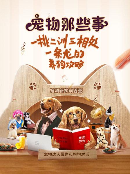 养犬之前的准备工作都有哪些？
