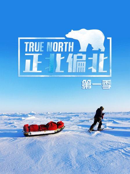 征服世界尽头 圆梦在北纬90度